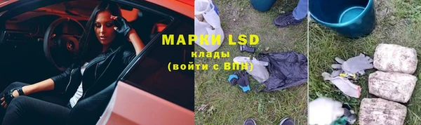 spice Алзамай